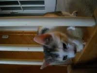 IMGP6592.webp