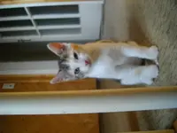 IMGP6593.webp
