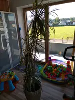 IMG_20180812_0852056.webp