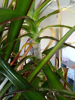 IMG_20180812_0852400.webp
