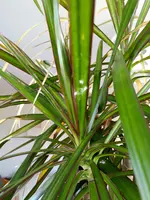 IMG_20180812_0852467.webp
