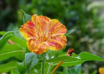 DSC05519.webp