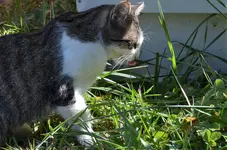 DSC_1532 (2).webp