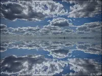 c015.webp
