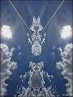 c016.webp