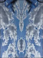 c017.webp