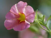image007.webp