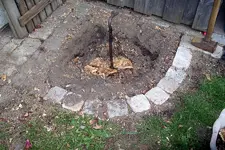 IMGP2905.webp