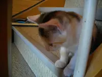 IMGP6598.webp