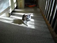 IMGP6600.webp