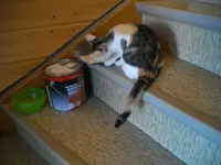 IMGP6603.webp