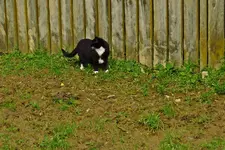 IMG_1152v (2).webp
