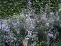 BILD0527.webp