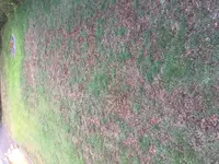 IMG_3464.webp