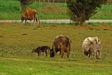 IMG_1263v (2).webp