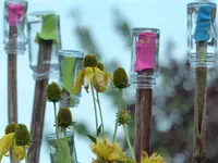 image002.webp