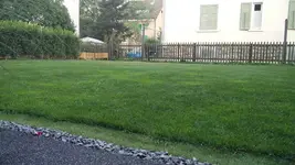 IMG_20180813_062642.webp