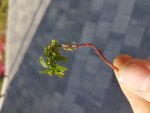 20180812_180243.jpg