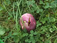 BILD0535.webp