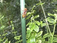 BILD0552.webp