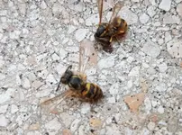 20180813_201457.webp