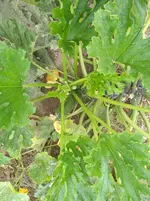 IMG_20180810_175843.jpg