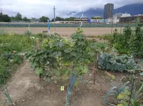 IMG_20180810_180144.jpg