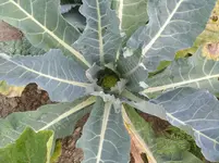IMG_20180810_180543.webp