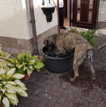 20180814_210905.webp