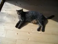 IMGP6607.webp