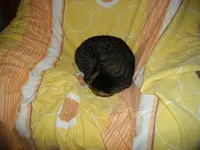 IMGP6608.webp