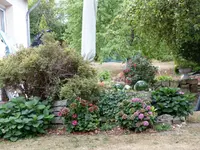 Garten 2018.webp