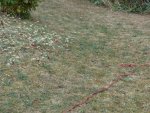 Wiese heute.jpg