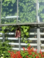 P1100030.webp