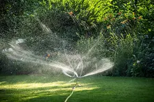 August-Beul-Attendorn-Sprinkler-wie-9503.webp