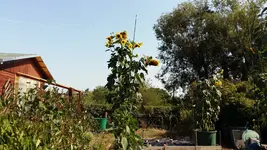 1534408128317-64656384.webp