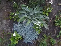 BILD0540.webp