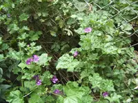 BILD0541.webp