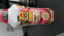 20180816_175252.webp