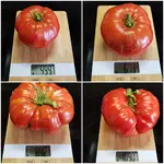 20180817_191503.webp