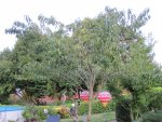 IMG_2311.jpg