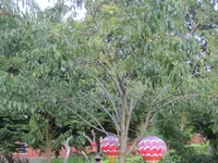 IMG_2312.webp