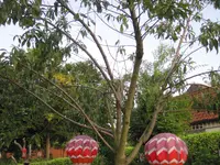 IMG_2313.webp