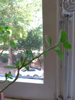 IMG_20180818_114647.webp