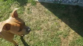 20180818_155305.webp