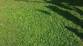 20180818_155241.webp