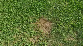 20180818_155323.webp