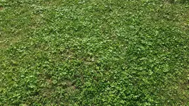 20180818_155206.webp