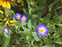 7F4AD642-35F2-4005-85D2-8AC98B1F2EC0.jpg