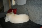 DSC06972.jpg